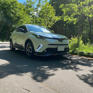 C-HR NGX50