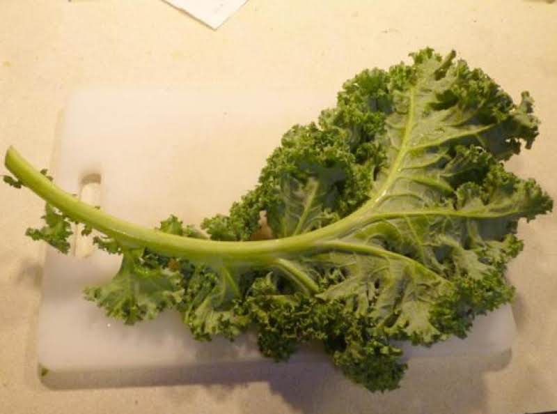 One Leaf Of Kale, Before Trimming.