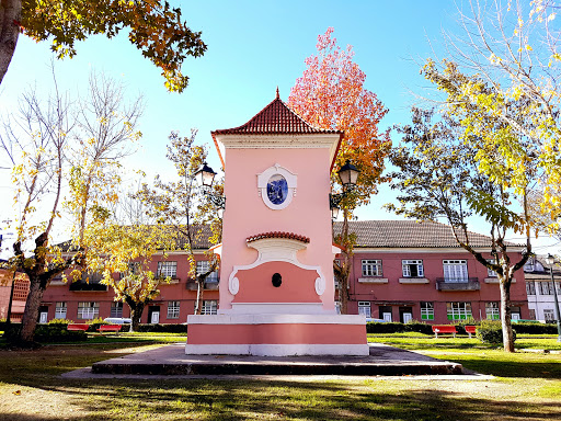 Jardim Da Várzea