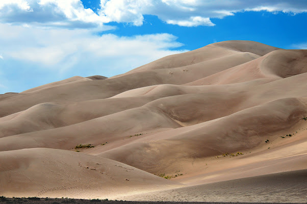 Dune, 1882 di photofabi77