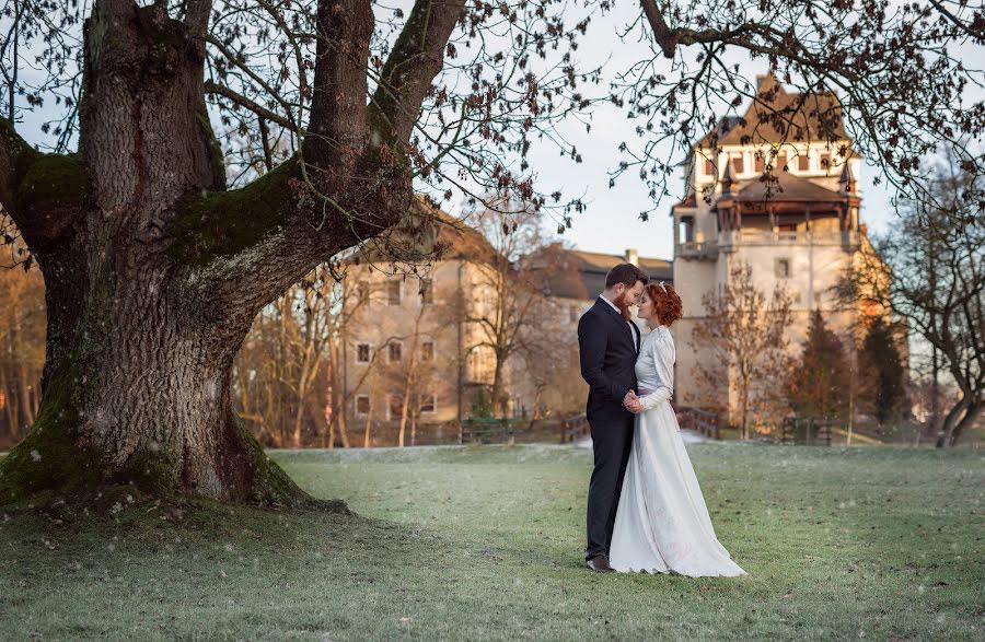 Fotógrafo de casamento Elena Vazhenina (weddingprague). Foto de 22 de janeiro 2019