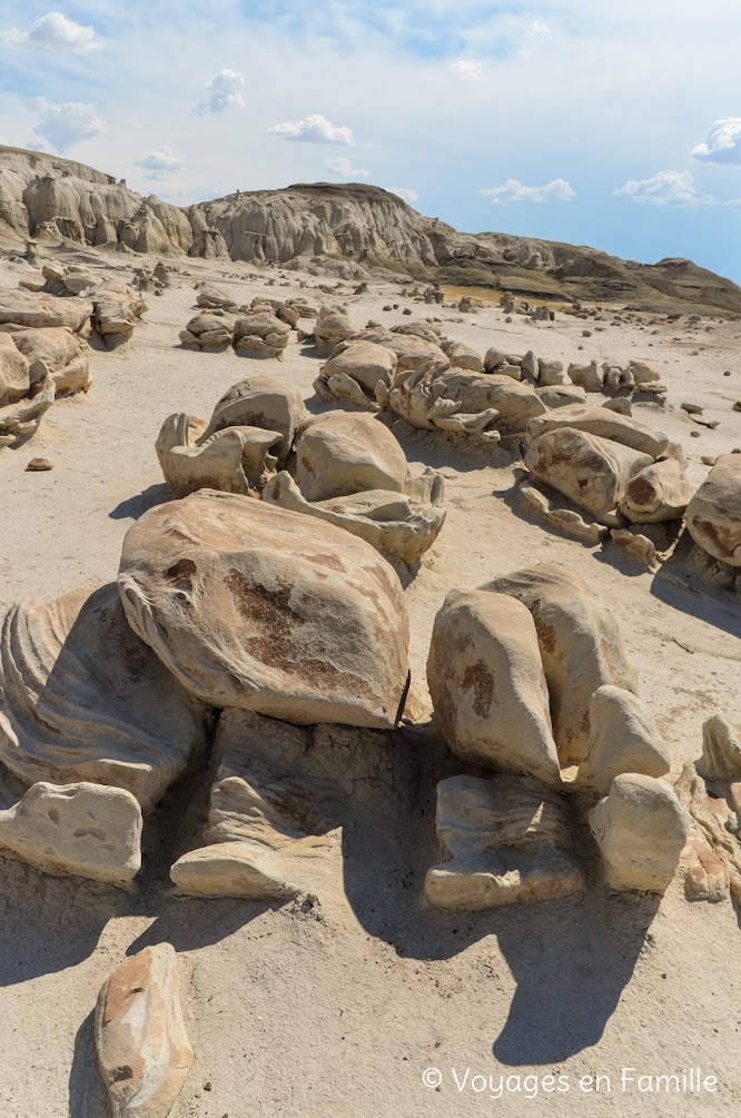 cracked eggs, bisti badlands