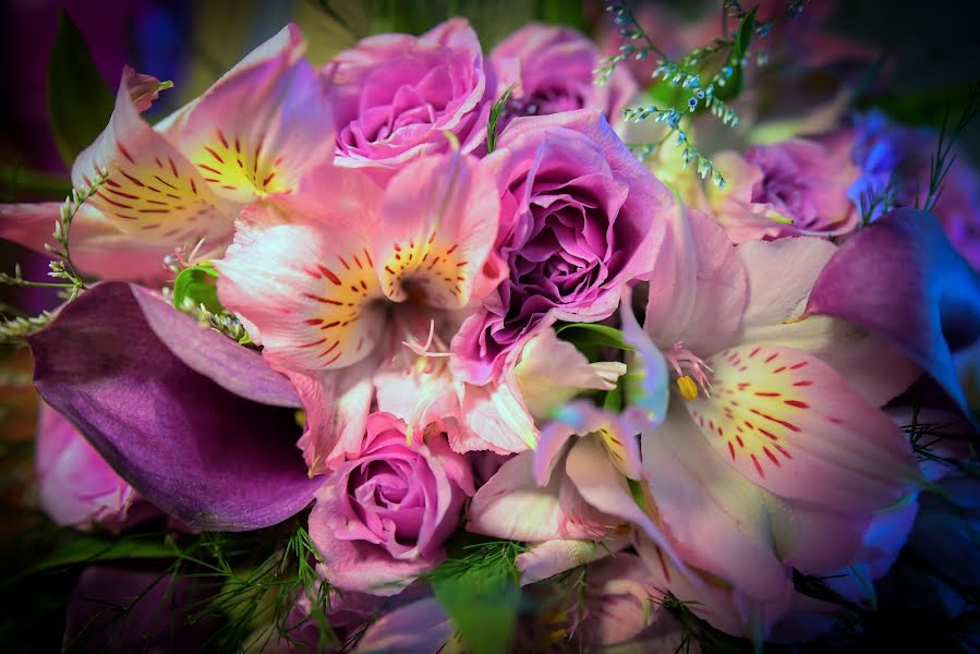 Photographe de mariage Pablo Macri (pablomacri). Photo du 22 mai 2019