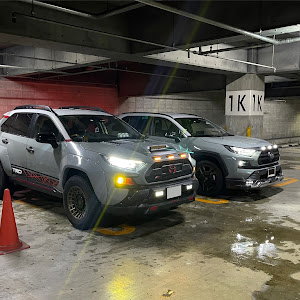 RAV4 MXAA54