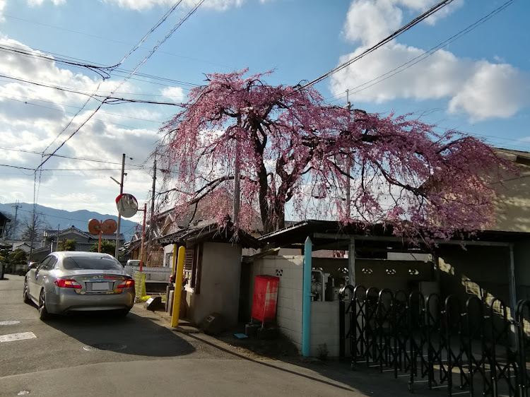 の投稿画像9枚目