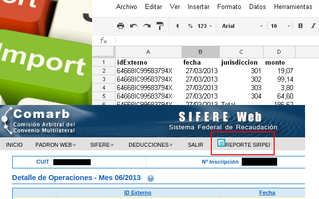 Reporte SIRPEI Preview image 1