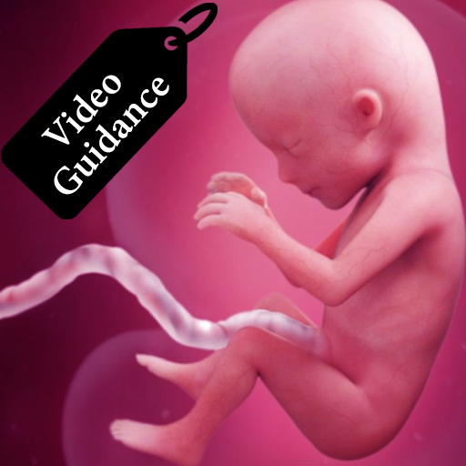 Pregnancy Month by Month - Video Guidance
