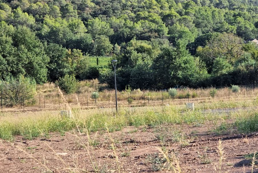 Vente terrain  465 m² à Pierrefeu-du-Var (83390), 223 000 €