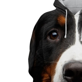 Title 4, Dog 3D Printed Hoodie for ultimate comfort and ...
