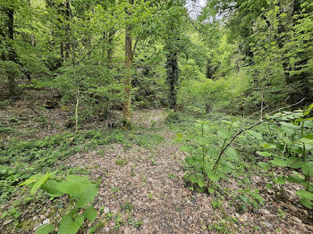 terrain à Saint-Paul-sur-Isère (73)