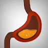 Healthy Digestion Foods Diet icon