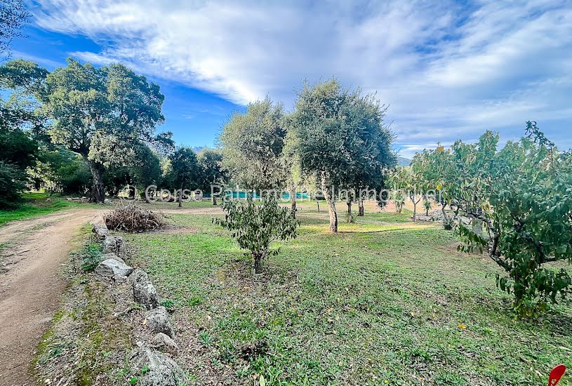  Vente Terrain à bâtir - 1 020m² à Sainte-Lucie-de-Porto-Vecchio (20144) 