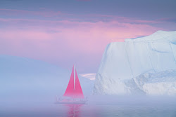  Red Sails #18