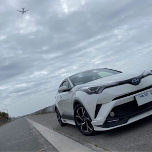 C-HR ZYX10