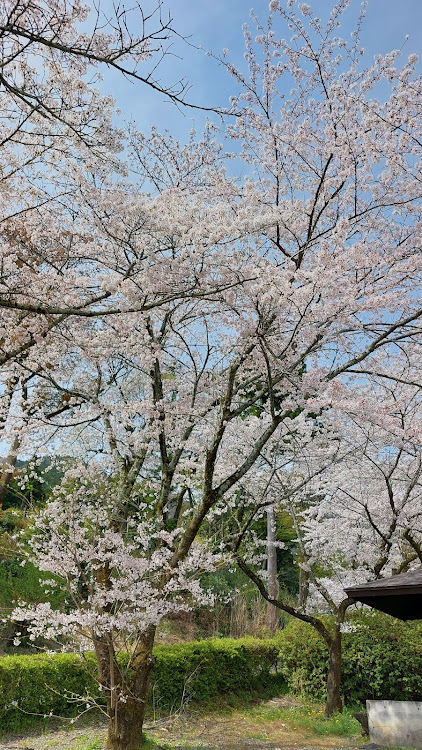 の投稿画像10枚目