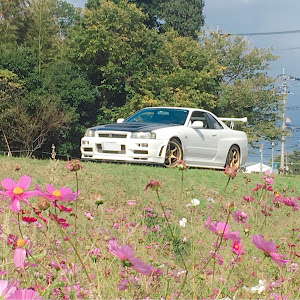 スカイライン GT-R