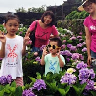 【竹子湖】苗榜花園餐廳