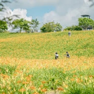 蕃薯伯(楊記)地瓜酥