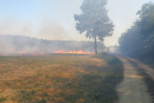 Ministarstvo ponovo upozorilo: Paljenje strnjike krivično delo, štetno po prirodu i zdravlje