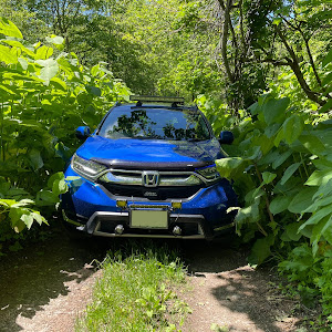 CR-V RW2