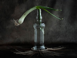 Naturaleza Muerta #8