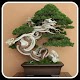 Download Background Bonsai Wallpaper For PC Windows and Mac 1.0