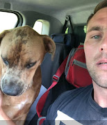 Blue is pictured moments after being reunited with owner Blake Louwrens after a massive 10-day search went viral on social media and brought together a community of complete strangers to #rescueblue. 