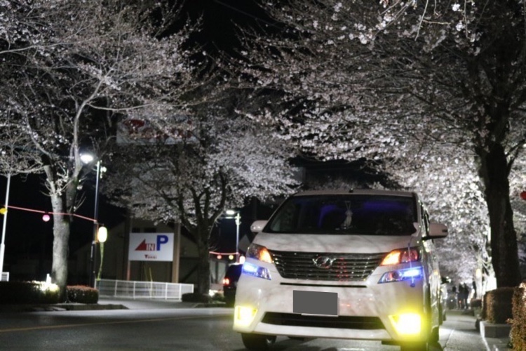 ヴェルファイアの桜と愛車・チームメンバー募集中・告知です・チームオフ会に関するカスタム事例の投稿画像1枚目