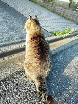 今日の朝だけは........