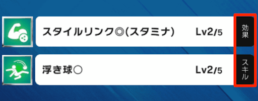 効果とスキルの2種類がある