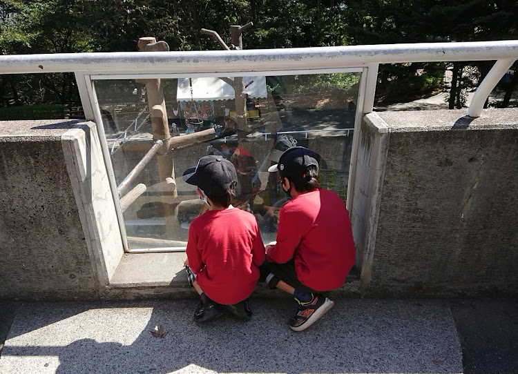 ヴォクシーの家族サービス・動物園・恐竜公園・ファミリーカー大活躍に関するカスタム事例の投稿画像6枚目