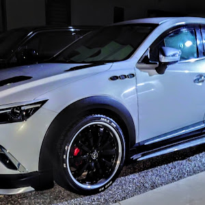 CX-3 DK5FW