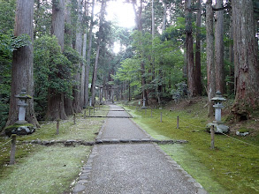 広い参道