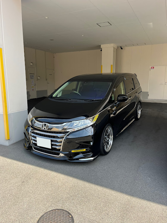 オデッセイの愛車の好きな角度・コスパいいパーツに関するカスタム事例の投稿画像1枚目