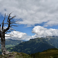 Saluti dalle montagne austriache di 