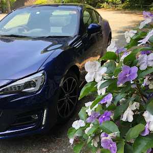 BRZ ZC6