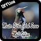 Download Master Kicau Jalak Suren Mp3 Offline For PC Windows and Mac 1.0