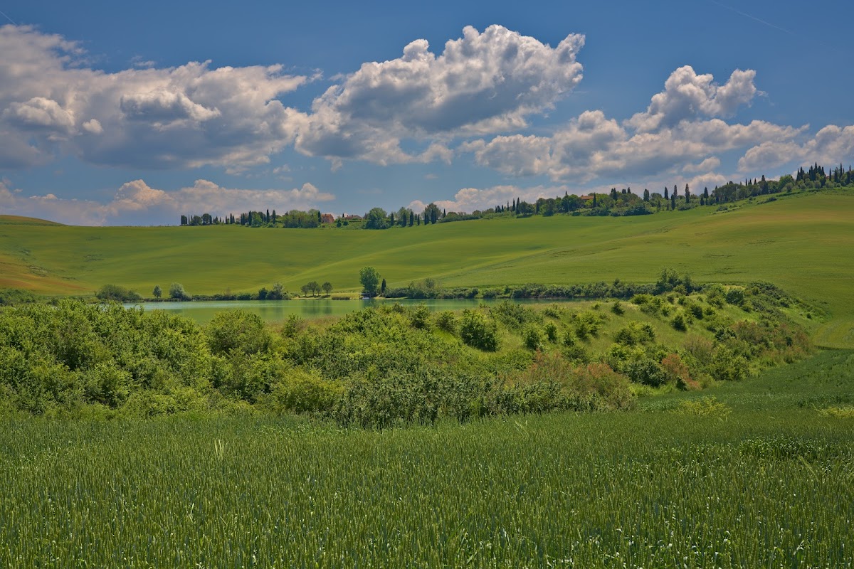 Vista verso Leonina nelle Crete Senesi, Toscana