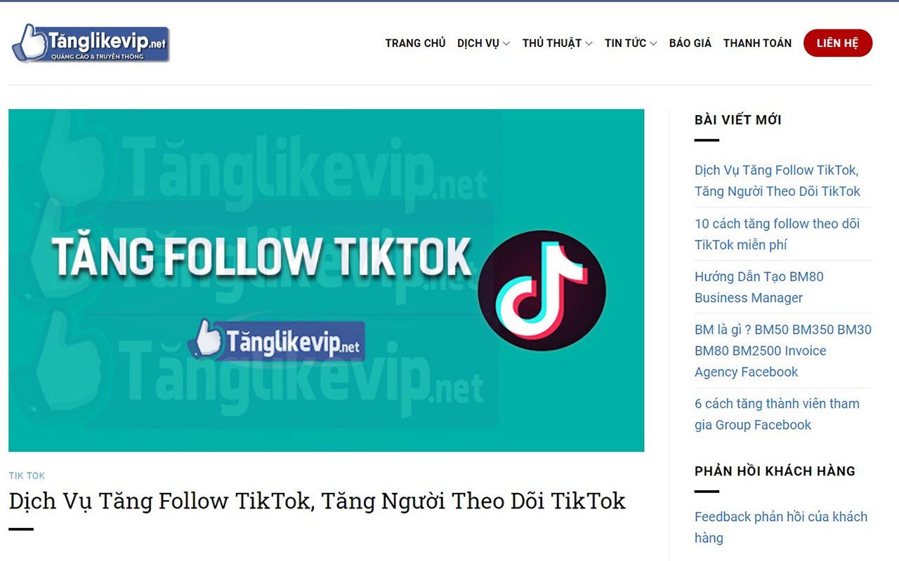 Tăng Follow Theo Dõi TikTok Preview image 1