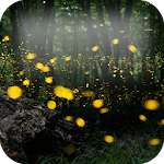 Fireflies Live Wallpaper Apk