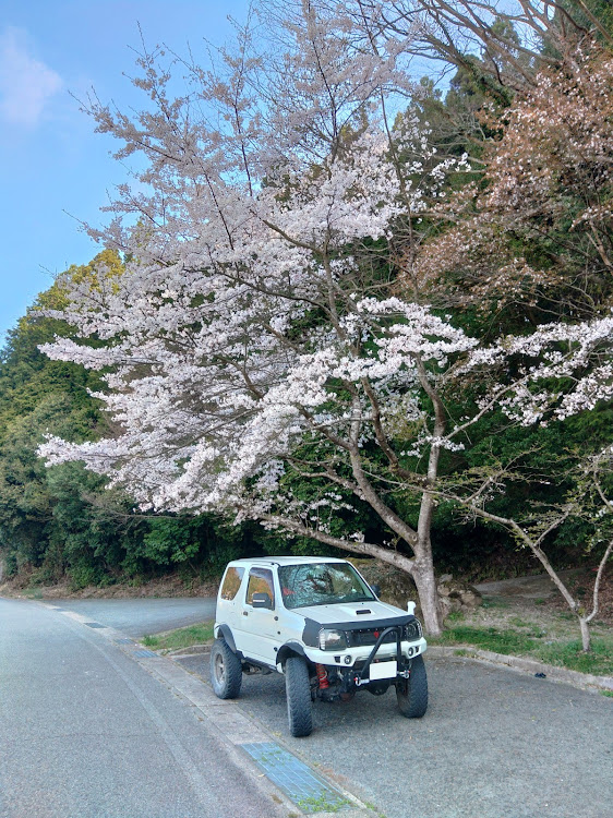 の投稿画像2枚目