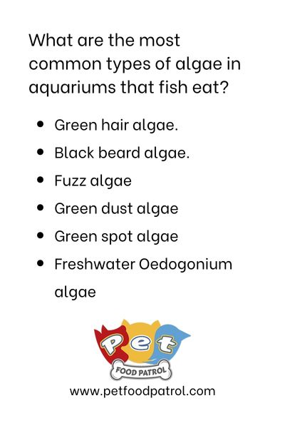 Microalgae And Fish Nutrition