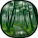 Forests Trees Backgrounds & Jungle Wallpapers icon