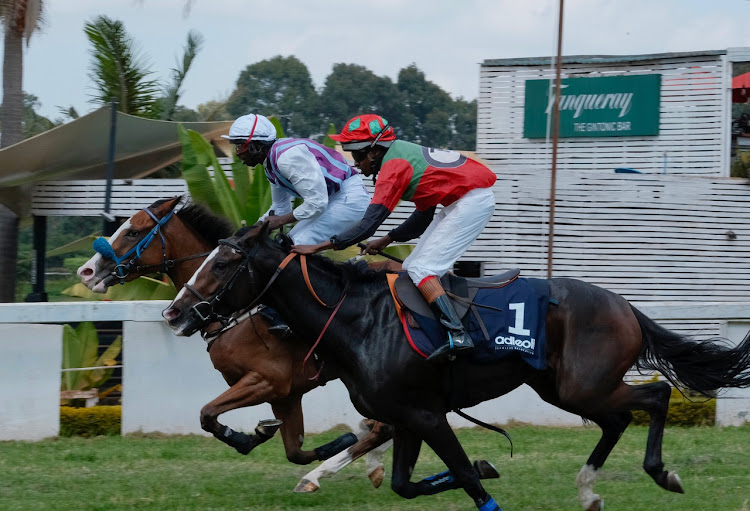 Horse racing action at Ngong Racecourse