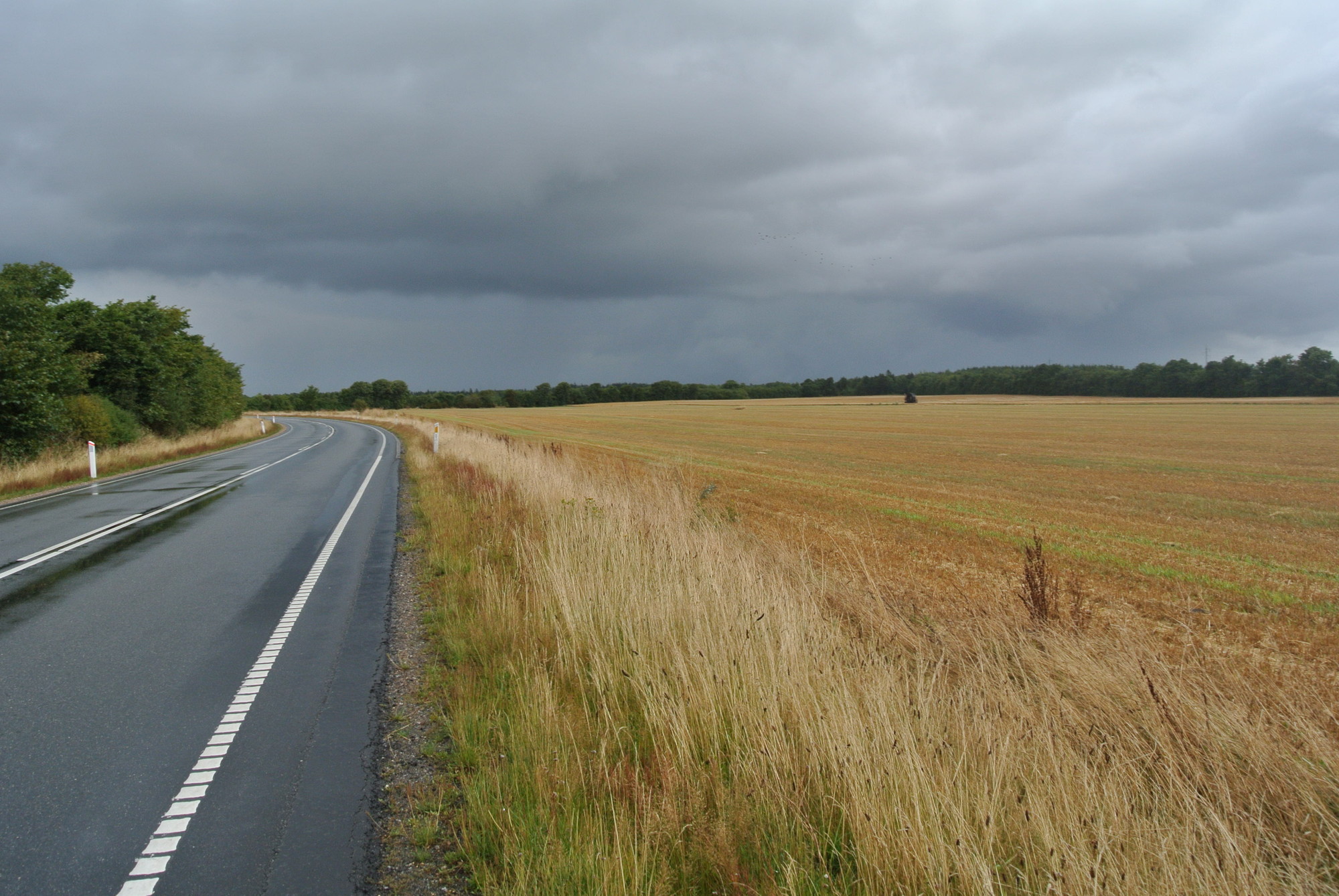 Danish Road di giacomobarbieri