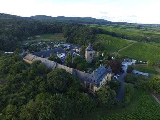 Vollrads palace from above