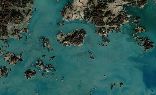 Seaweed Farms in South Korea [detail]