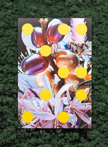 The Garden Eternal: California 官方项目画面