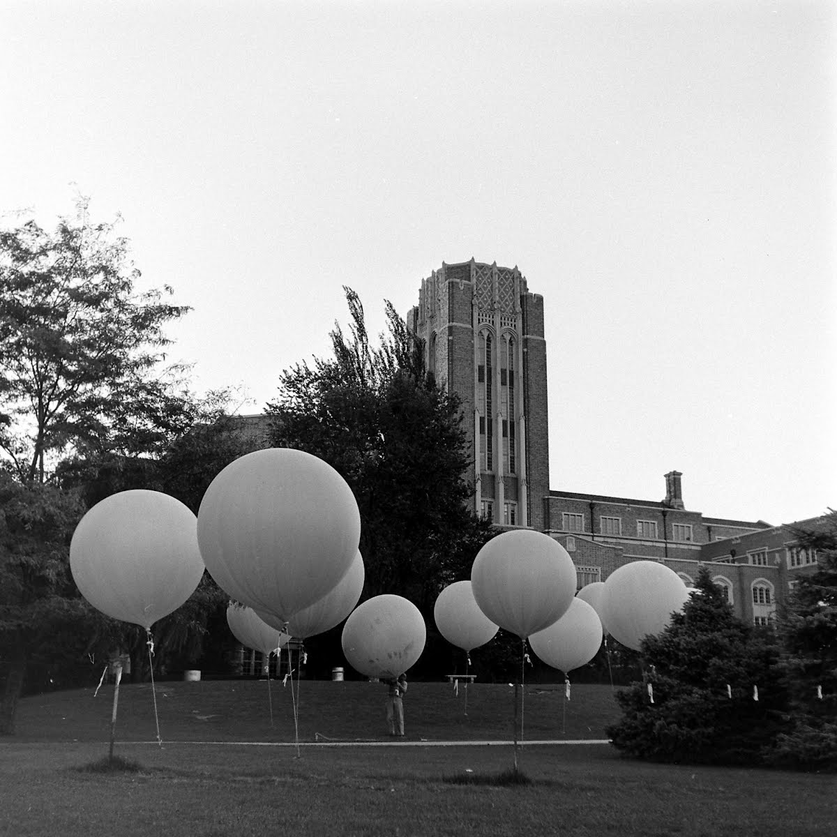 Cosmic Ray Studies Mt. Evans & Echo Lake
