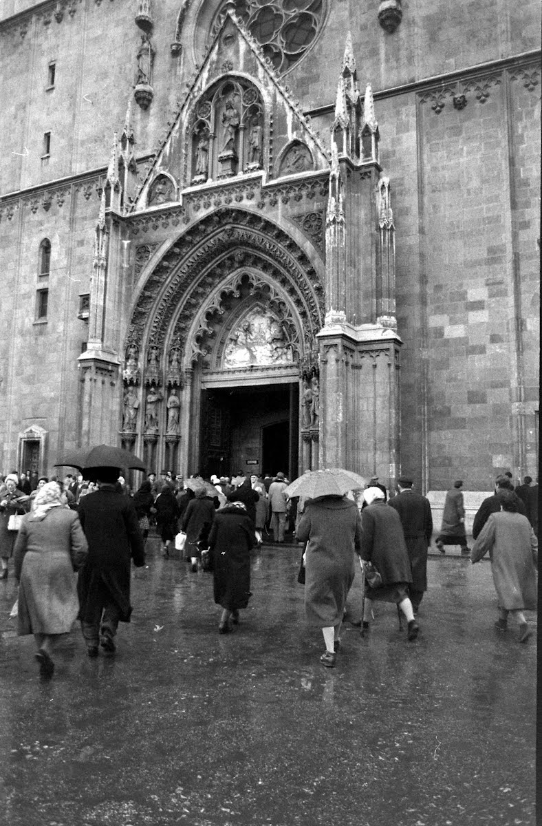 Carnival Stepinac Death